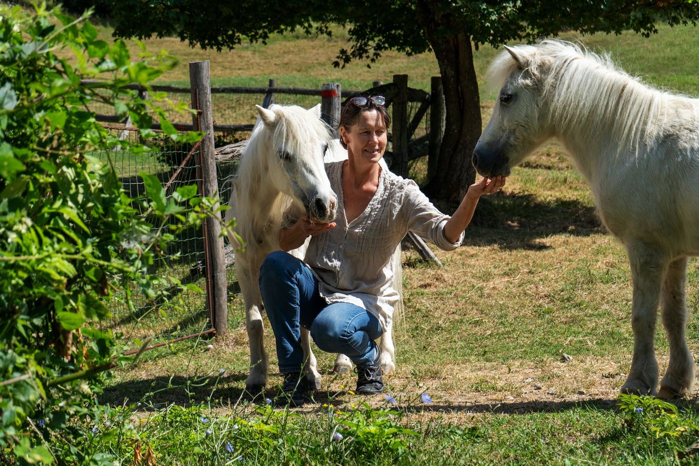 Una donna accarezza due cavalli bianchi in un prato