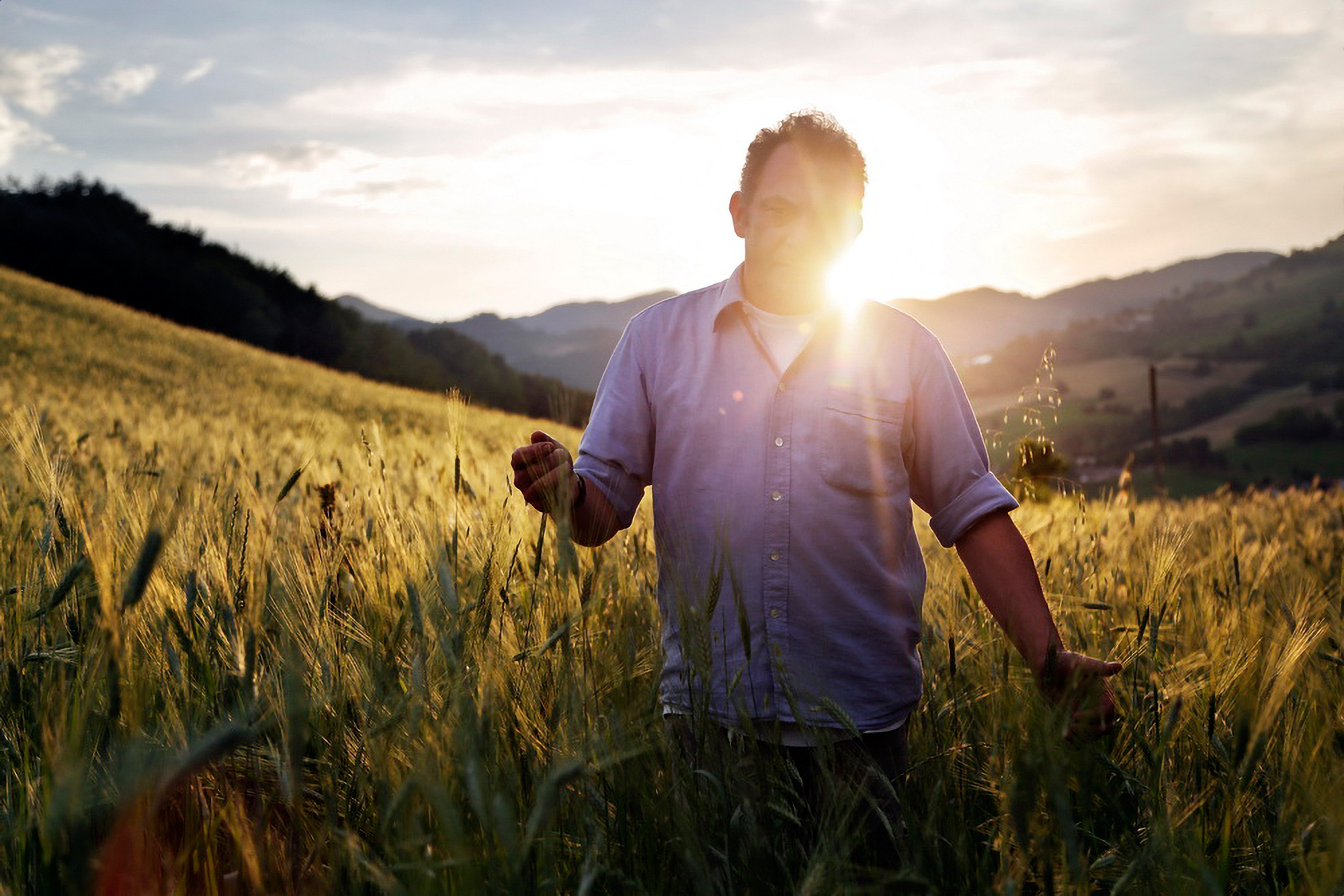 Il coltivatore in piedi nel campo di grano al tramonto