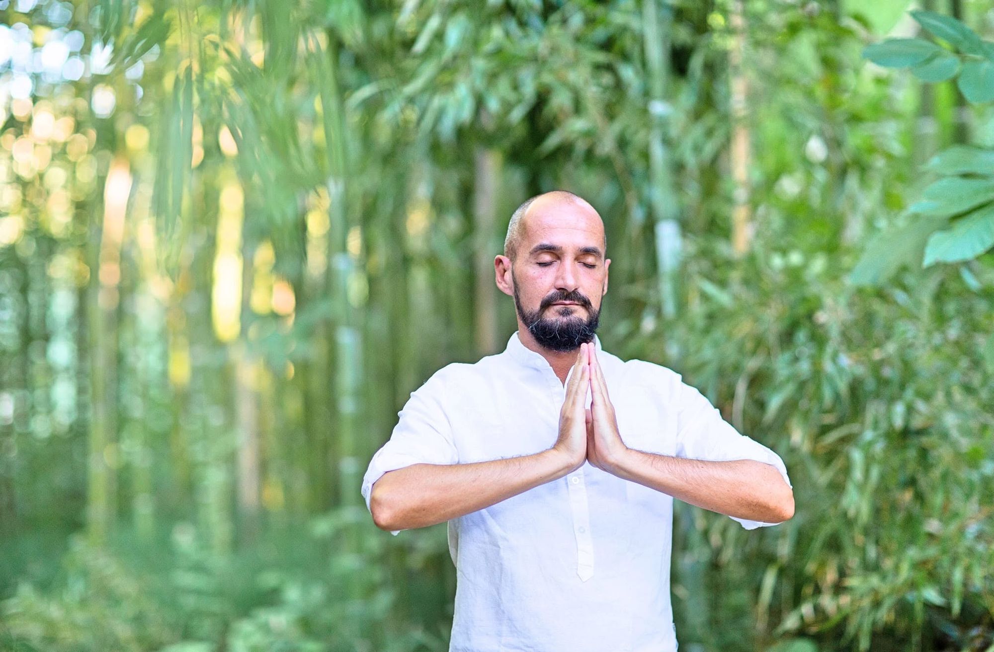 L'operatore olistico in meditazione davanti al bambuseto