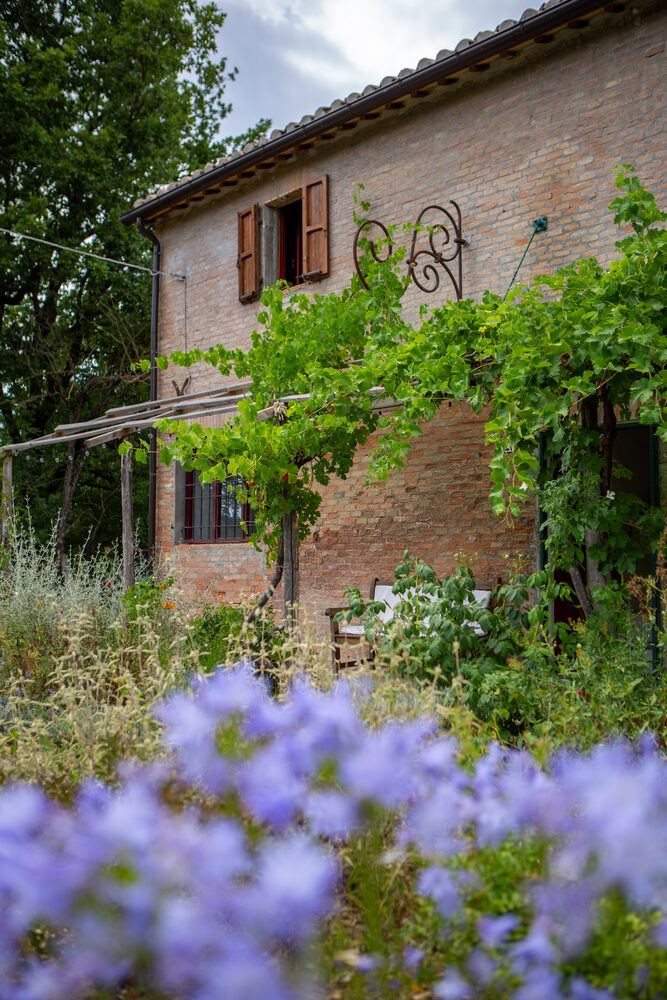 Il casale tra il verde, con vite e fiori sulla facciata
