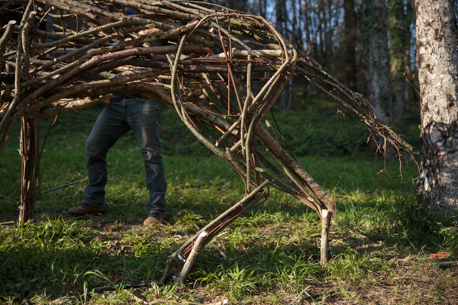 Il gruppo al lavoro nel bosco